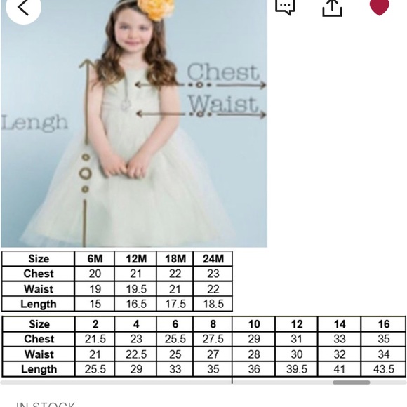 Flower girl dress NWT. - Picture 2 of 3